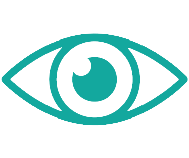 vision_icon.png